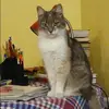 Отзыв от Арина Герасимова